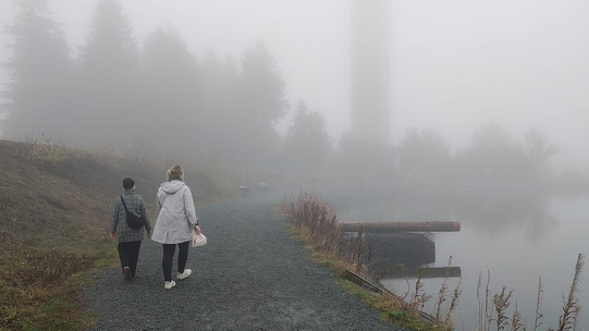 Wanderung im Nebel