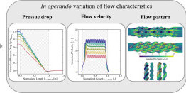 Graphical Abstract of the publication Graphical Abstract of the publication