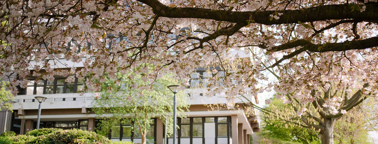 TU Dortmund University Spring_21 TU Dortmund University building surrounded by flowering trees.