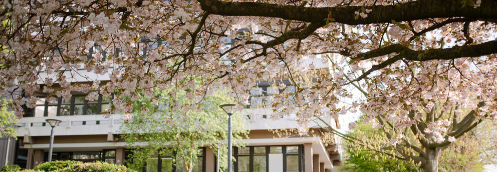 Gebäude der TU Dortmund umgeben von blühenden Bäumen.